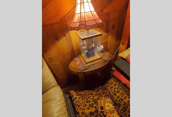 Auction listing photo