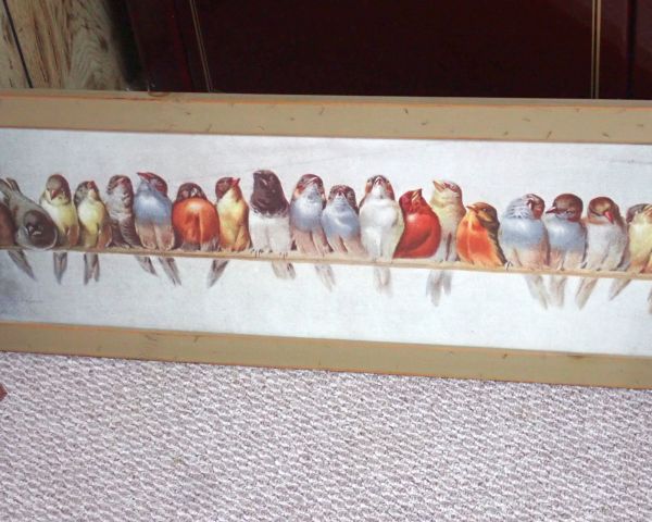 Auction listing photo