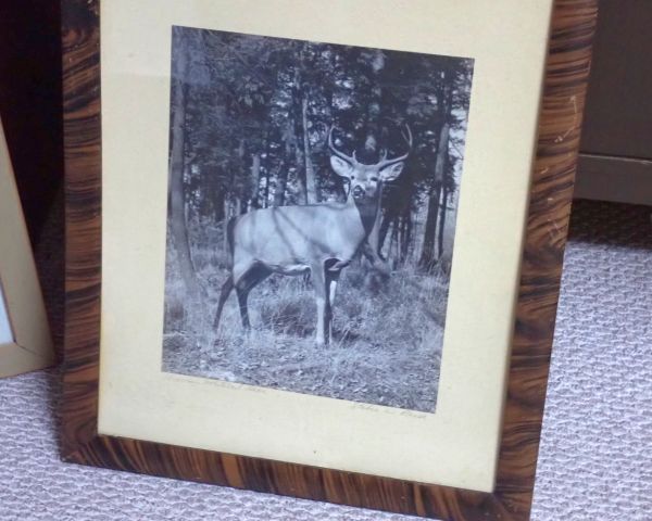 Auction listing photo