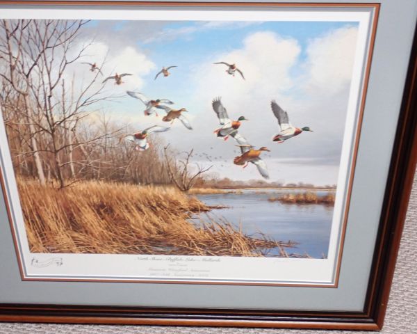 Auction listing photo