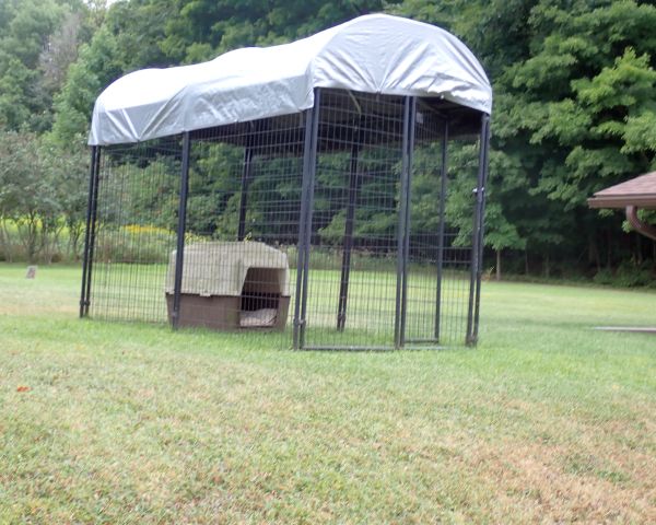 Auction listing photo