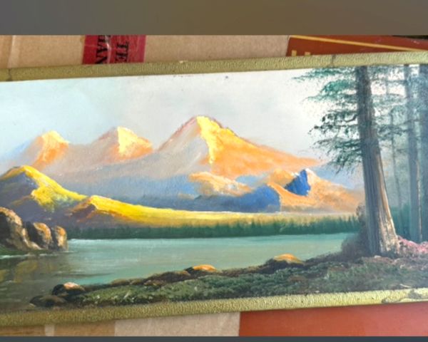 Auction listing photo