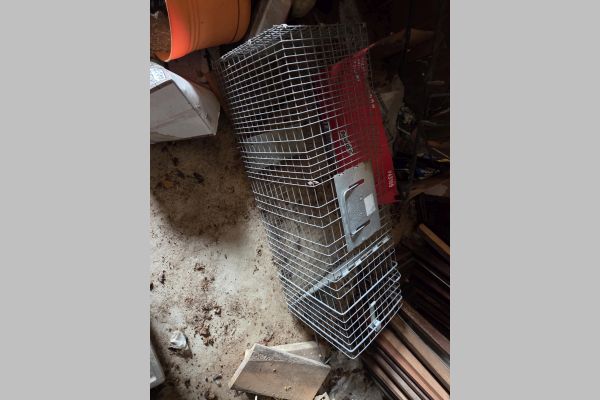 Auction listing photo