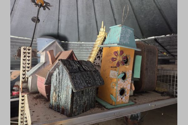 Auction listing photo