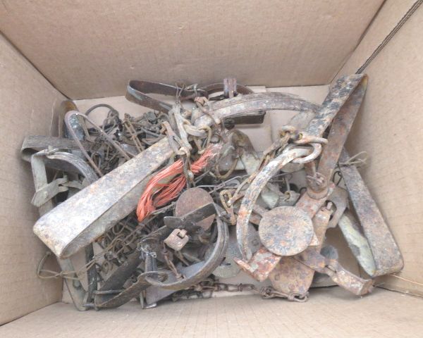 auction image